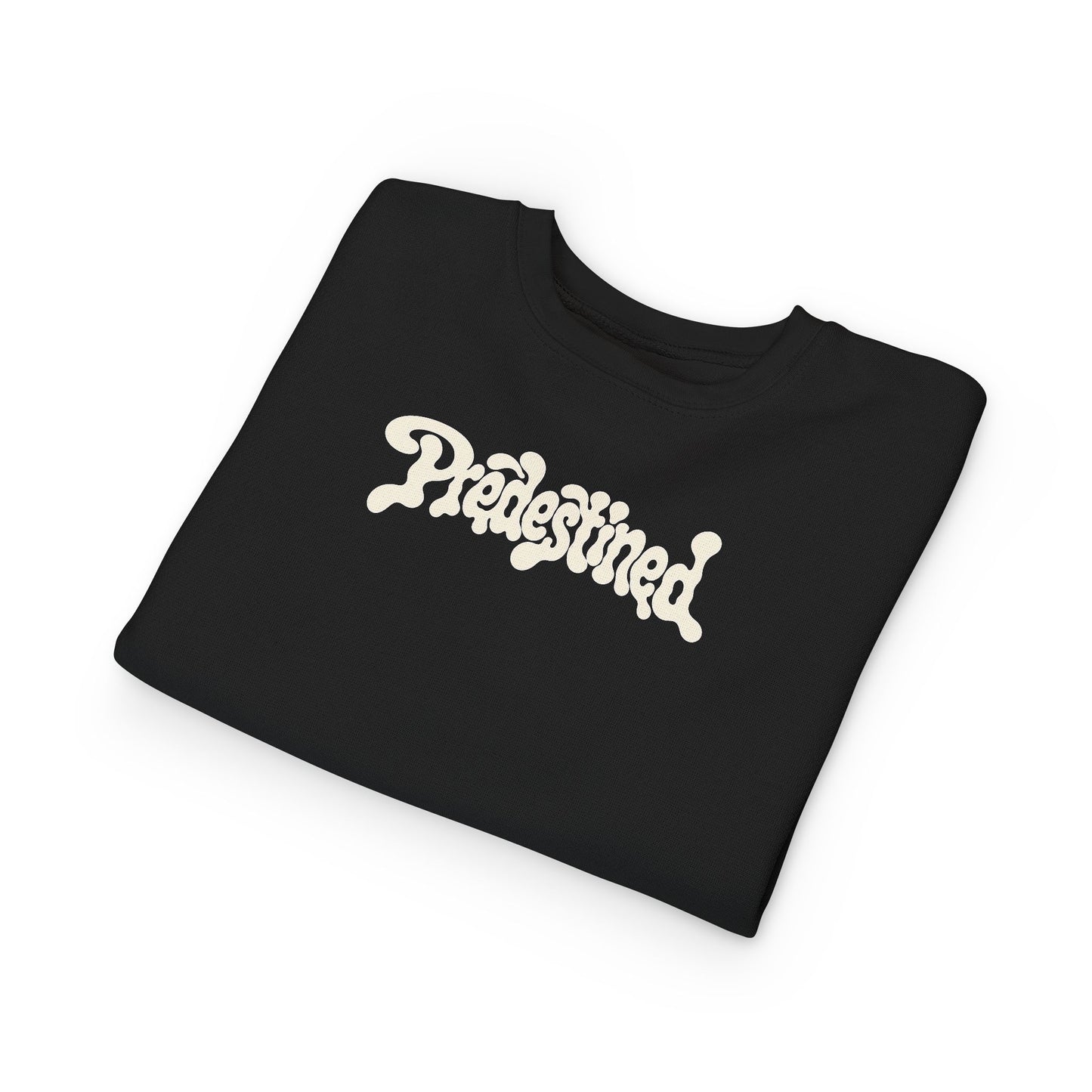 TODDLER- Predestined Crewneck