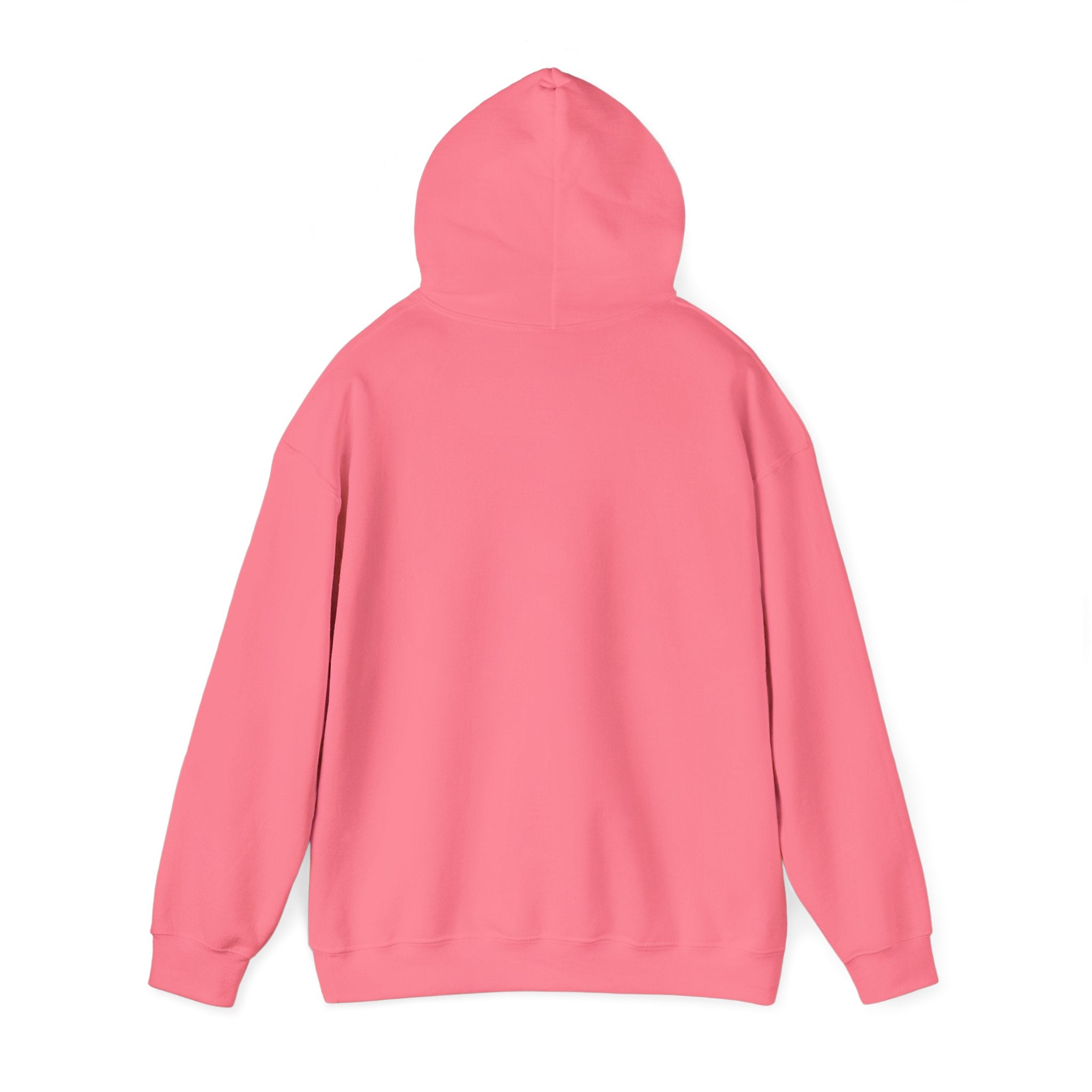 Safety Pink/Yellow- "DHYH" Hoodie
