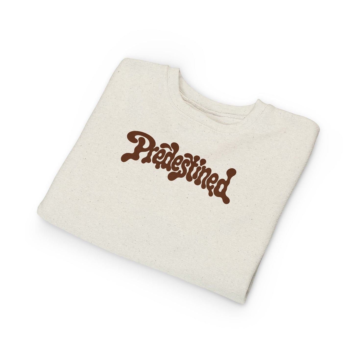 TODDLER- Predestined Crewneck