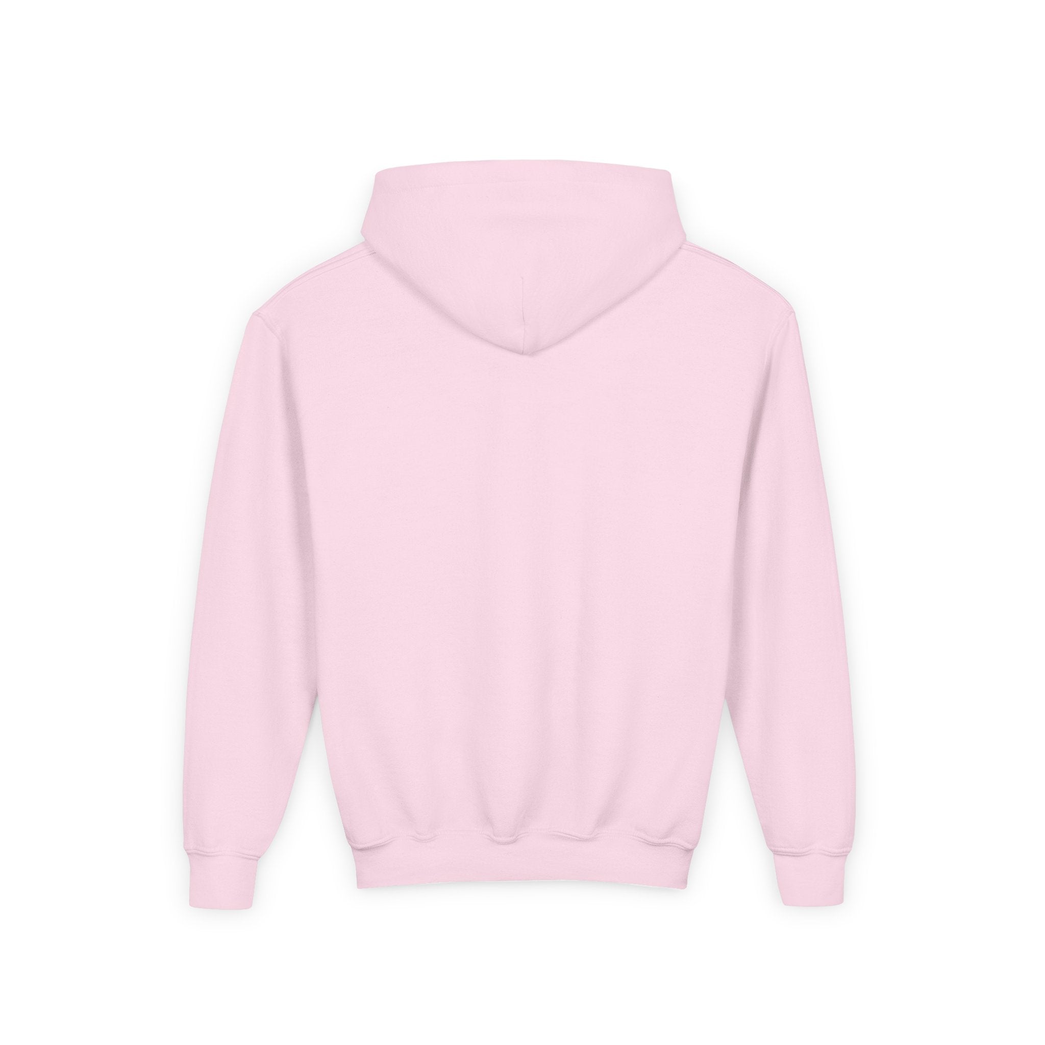 Pink- Youth "DHYH" Hoodie