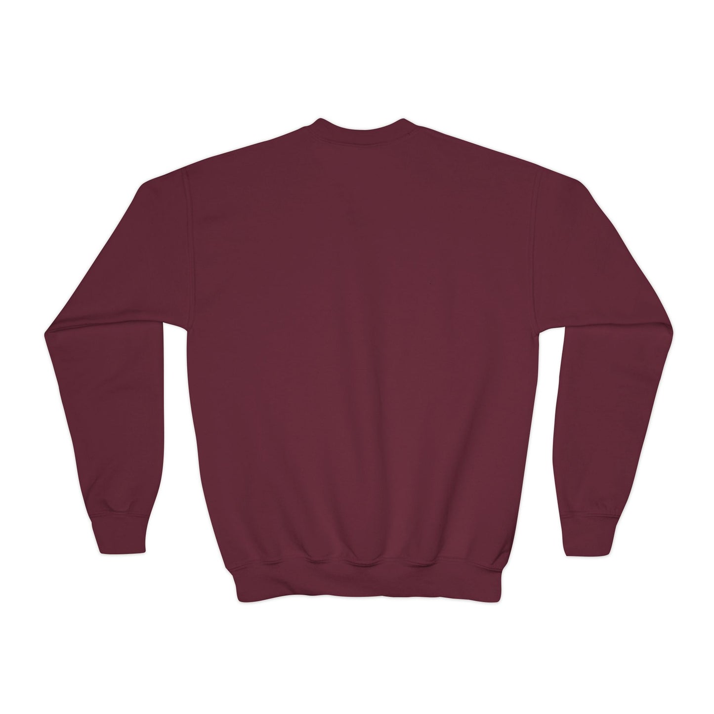 BIG KIDS Maroon Spring- DHYH Crewneck
