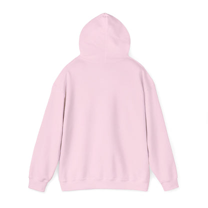 Pink/Red- "DHYH" Hoodie