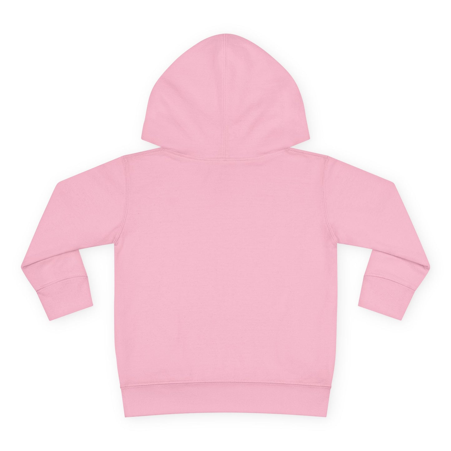 TODDLER Pink Spring — DHYH Hoodie