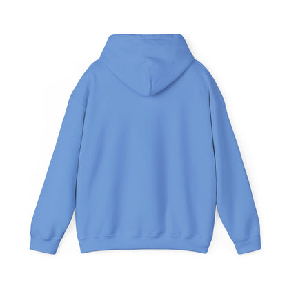 ADULT UNISEX Blue Easter- DHYH Hoodie