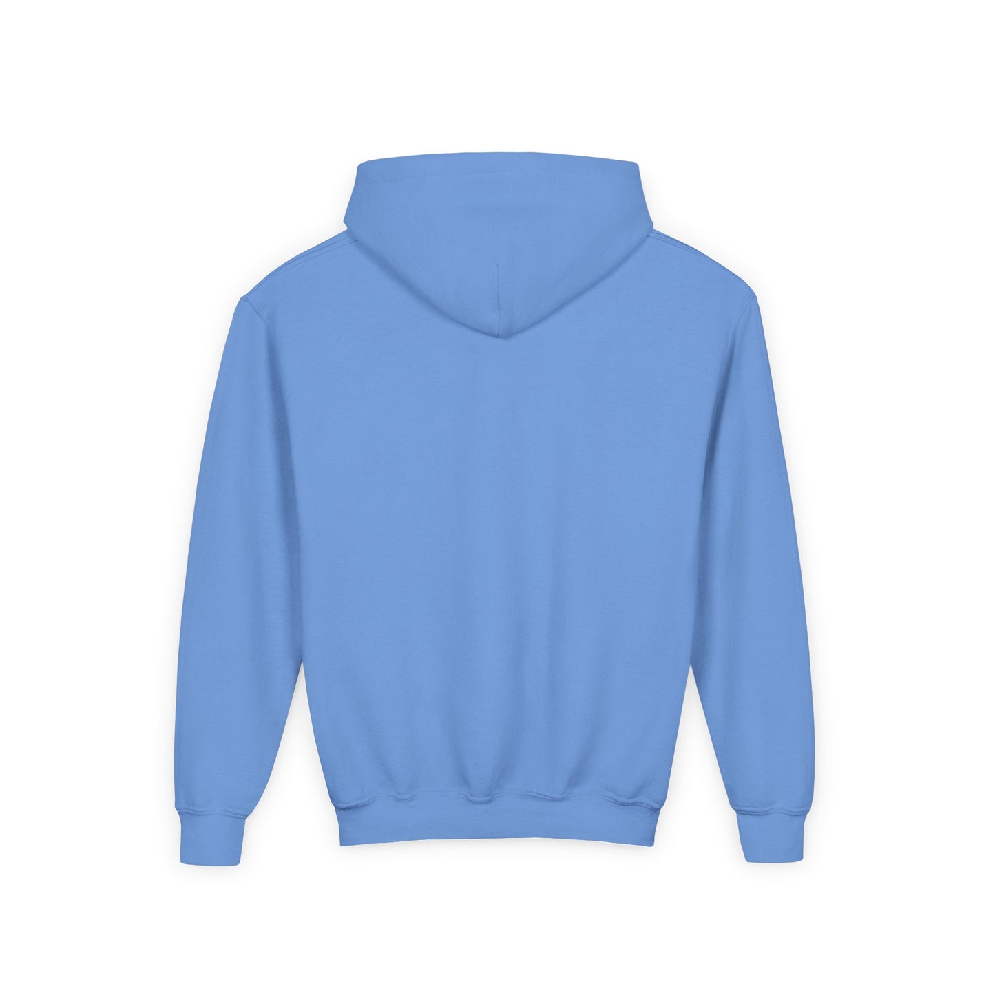 BIG KIDS Blue Spring- DHYH Hoodie