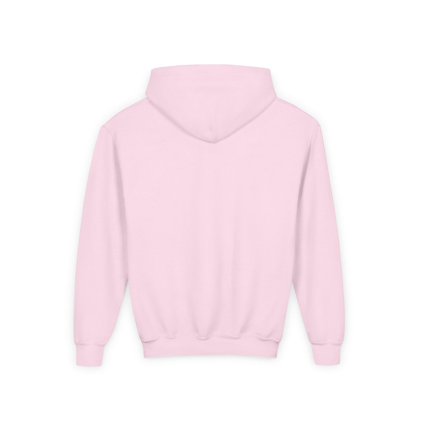 BIG KIDS Light Pink- DHYH Hoodie