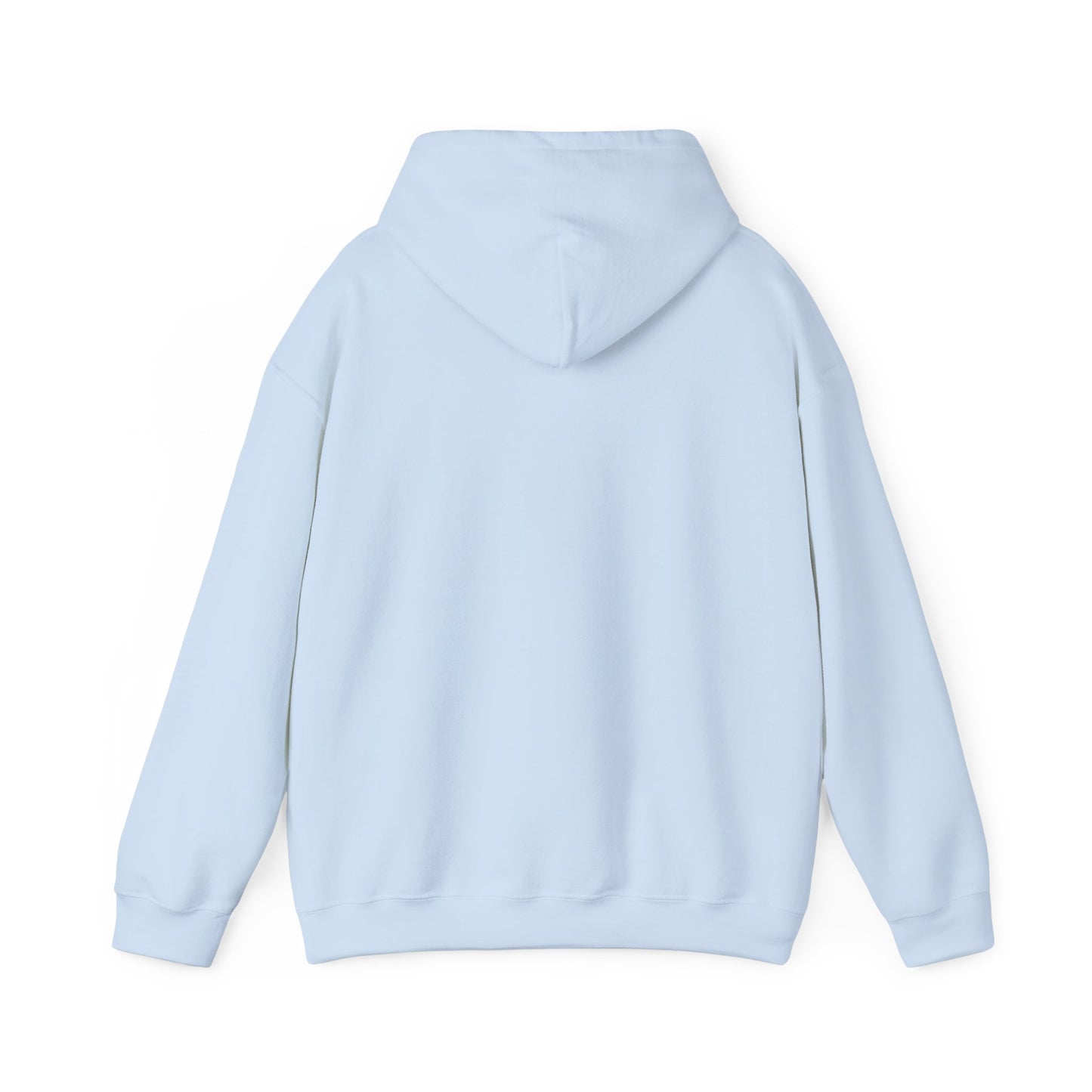 ADULT Light Blue Spring- DHYH Hoodie